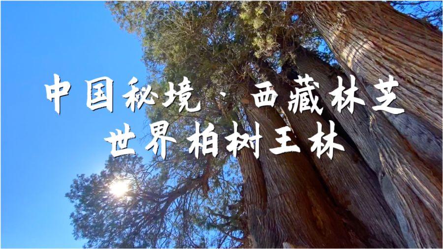 于正发完疯又给自己找补，牵连吴宣仪被骂惨，网友心疼祝绪丹